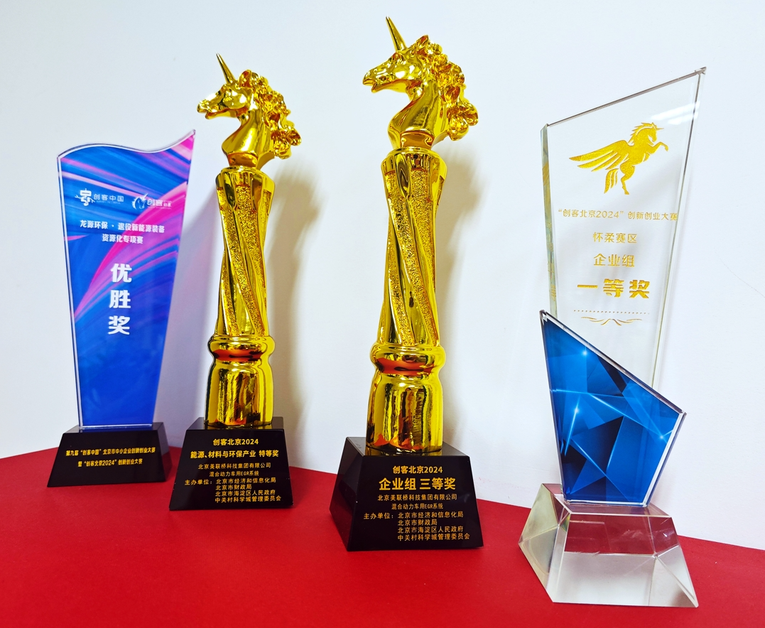 918ÿƼųȻ춯EGRϵͳĿͱ2024չǿΧ й2024 